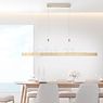 Neuhaus PURE® by Paul Neuhaus Moto Hanglamp LED goud - e-SLIDE® productafbeelding