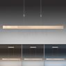 Neuhaus PURE® by Paul Neuhaus Moto Hanglamp LED goud - e-SLIDE®