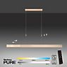 Neuhaus PURE® by Paul Neuhaus Moto Hanglamp LED goud - e-SLIDE®