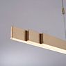 Neuhaus PURE® by Paul Neuhaus Moto Hanglamp LED goud - e-SLIDE®