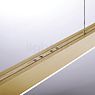 Neuhaus PURE® by Paul Neuhaus Moto Hanglamp LED goud - e-SLIDE®