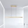 Neuhaus PURE® by Paul Neuhaus Moto-Rise Hanglamp LED goud - e-SLIDE® - e-LIFT® productafbeelding