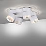 Neuhaus PURE® by Paul Neuhaus Nola Plafondlamp 4-lichts LED wit