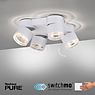 Neuhaus PURE® by Paul Neuhaus Nola Plafonnier 4 foyers LED blanc