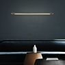 Neuhaus PURE® by Paul Neuhaus Puro Wandlamp LED grijs - 100 cm productafbeelding