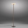 Neuhaus PURE® by Paul Neuhaus Vitrum Lampadaire LED marron