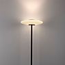 Neuhaus PURE® by Paul Neuhaus Vitrum Lampadaire LED marron