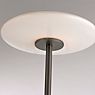 Neuhaus PURE® by Paul Neuhaus Vitrum Lampadaire LED marron