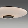 Neuhaus PURE® by Paul Neuhaus Vitrum Lampe de table LED marron