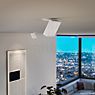 Nimbus Q Four Lampada da soffitto LED incl. Convertitore - orientabile nero - 40° , Vendita di giacenze, Merce nuova, Imballaggio originale - immagine di applicazione