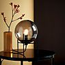 Nordlux Alton Table Lamp smoked glass application picture