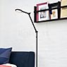 Nordlux Bend Single Floor Lamp LED black application picture