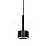 Nordlux Clyde Pendelleuchte LED 4-flammig black