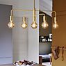 Nordlux Gloom Pendant Light brass application picture
