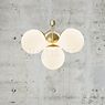 Nordlux Ivona Pendant Light 4 lamps brass application picture