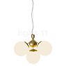 Nordlux Ivona Pendant Light 4 lamps brass