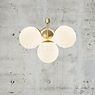 Nordlux Ivona Pendant Light 4 lamps brass , Warehouse sale, as new, original packaging application picture