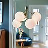 Nordlux Ivona Pendant Light 6 lamps smoked glass/black application picture