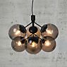 Nordlux Ivona Pendant Light 6 lamps smoked glass/black application picture