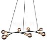 Nordlux Josefine Pendant Light 7 lamps 7-flame