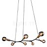 Nordlux Josefine Pendant Light 7 lamps 7-flame