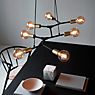 Nordlux Josefine Pendant Light 7 lamps 7-flame application picture