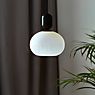 Nordlux Notti Pendant Light grey - with glass application picture