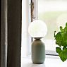 Nordlux Notti Table Lamp green application picture