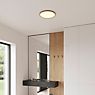 Nordlux Oja, lámpara de techo LED lámina de madera - 42 cm - paso regulable - ip20 - sin sensor de movimiento - ejemplo de uso previsto