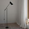 Northern Birdy Floor lamp black application picture