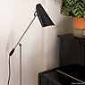 Northern Birdy Floor lamp black/brass application picture