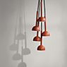 Northern Blush Pendant Light LED rust application picture