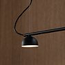 Northern Blush Suspension LED 3 foyers noir mat