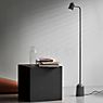 Northern Buddy Floor Lamp black application picture