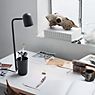 Northern Buddy Table lamp black application picture