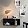 Northern Ombre Table Lamp black application picture