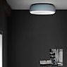 Northern Over Me Ceiling Light blue - ø40 cm application picture