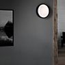 Northern Over Me, lámpara de techo negro - ø50 cm , Venta de almacén, nuevo, embalaje original - ejemplo de uso previsto