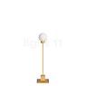 Northern Snowball Bordlampe messing