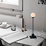 Northern Snowball Table lamp brass application picture