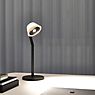 Occhio Lei Tavolo Iris Table Lamp LED cover black matt/body black matt/base black matt - 3,000 K application picture