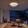 Occhio Mito Aura 60 Wide Plafond-/Wandlamp LED kop goud mat/body wit mat - DALI productafbeelding