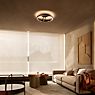 Occhio Mito Aura 60 Wide Wall-/Ceiling light LED head gold matt/body white matt - DALI application picture