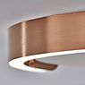 Occhio Mito Soffitto 40 Up Narrow Plafond-/Wandlamp LED kop goud mat/afdekking wit mat - DALI