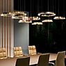 Occhio Mito Sospeso 40 Fix Up Table Pendant Light LED head gold matt/ceiling rose white matt - DALI application picture