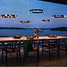 Occhio Mito Sospeso 40 Fix Up Table Pendant Light LED head silver matt/ceiling rose white matt - DALI application picture