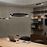 Occhio Mito Sospeso 40 Variabel Up Lusso Room Pendant Light LED head black phantom/ceiling rose ascot leather brown - DALI application picture