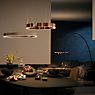Occhio Mito Sospeso 40 Variabel Up Table Hanglamp LED kop goud mat/plafondkapje wit mat productafbeelding