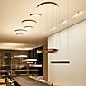 Occhio Mito Sospeso 40 Variabel Up Table Hanglamp LED kop zwart mat/plafondkapje wit mat - DALI productafbeelding
