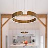 Occhio Mito Sospeso 40 Variabel Up Table Suspension LED tête or rose/cache-piton blanc mat - produit en situation